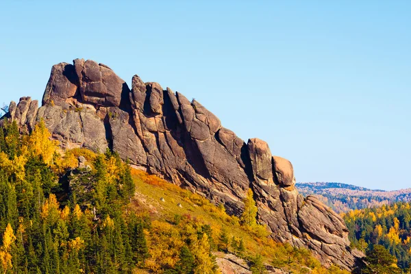 Dağın sonbahar manzara 