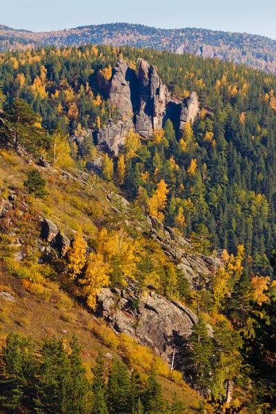 Dağın sonbahar manzara 