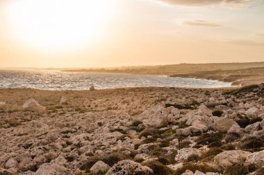 Cape Greko Kıbrıs Protaraları