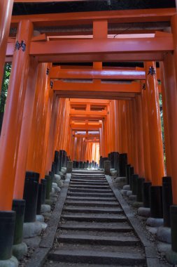 Fushimi Inari 'nin Kapısı' ndan Yolculuk