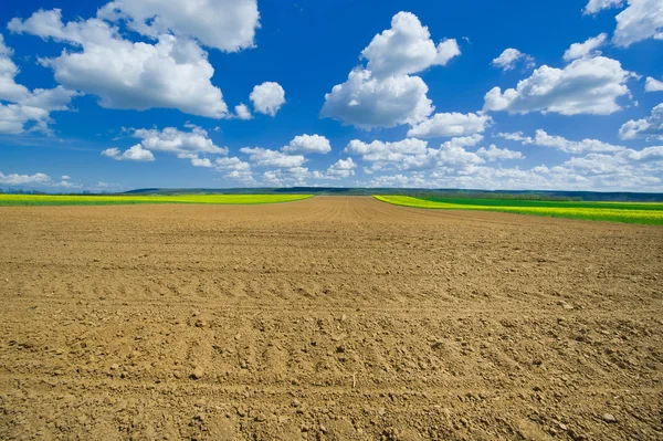 Ploughed agricultural field — Stock Photo, Image