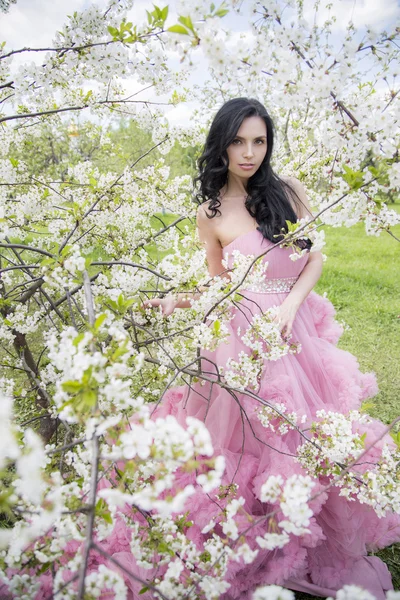 Young woman in the garden of apple blossom — Stock Photo, Image
