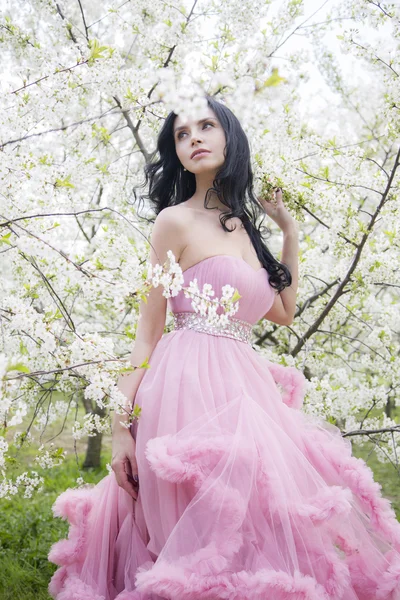 Young woman in the garden of apple blossom — Stock Photo, Image