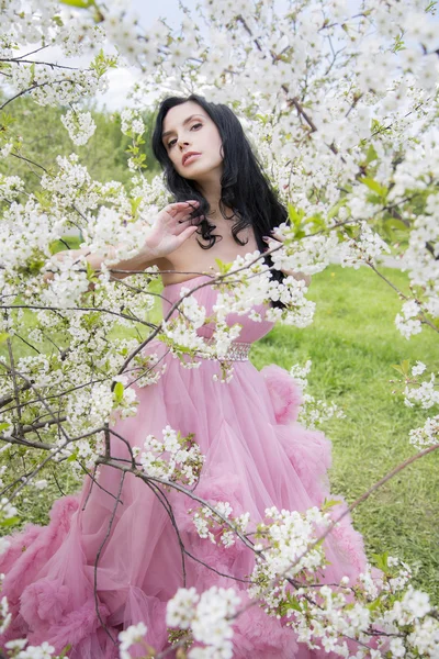 Young woman in the garden of apple blossom — Stockfoto