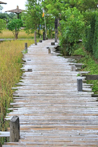 Jembatan Bambu Kayu Sawah — Stok Foto