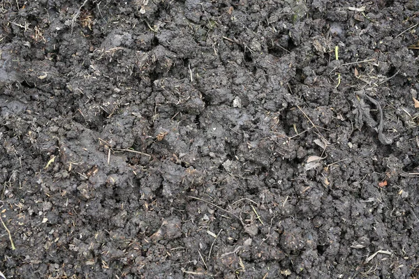 Sluiten Dark Soil Texture Achtergrond Voor Plantage Bodem Voorbereid Voor — Stockfoto