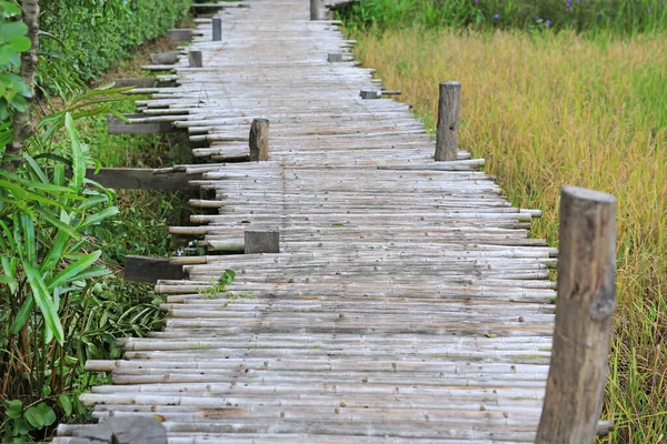 Çeltik Tarlasında Tahta Bambu Köprüsü — Stok fotoğraf