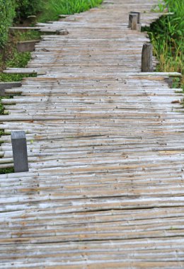 Çeltik tarlasında tahta bambu köprüsü.