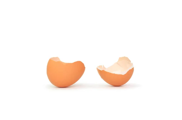 Яйцо Оболочки Изолированы Белом Фоне — стоковое фото
