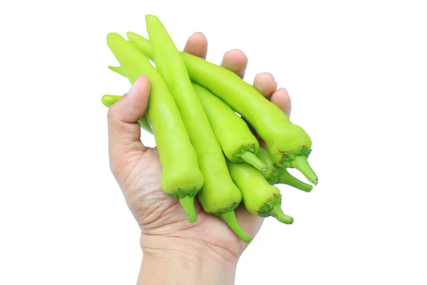 Hand Hält Thailändische Chilischoten Oder Grüne Bananenschoten Auf Weißem Hintergrund — Stockfoto