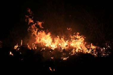 Alevler koyu arkaplanda kuru otları yakıyor.