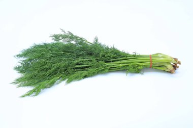 Taze yeşil dereotu sürüsü beyaz arkaplanda izole edilmiş..