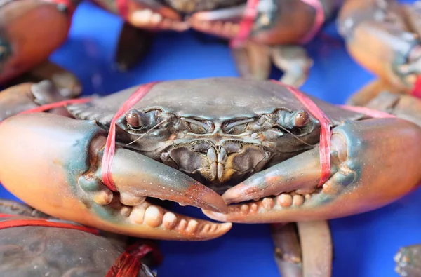 Close-up live Crabs at seafood market, Thailand.