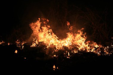 Alevler koyu arkaplanda kuru otları yakıyor.