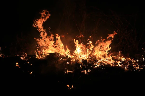 Flammes Feu Brûlant Herbe Sèche Sur Fond Sombre — Photo