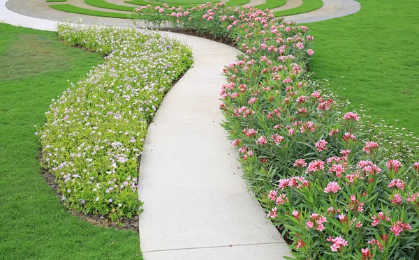 庭にはオレンダーローズベイとコロマンデルの花が咲くセメントの歩道 — ストック写真