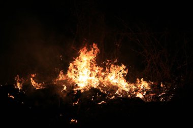 Alevler koyu arkaplanda kuru otları yakıyor.