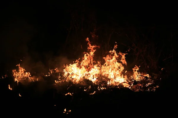 Fuego Llamas Quemando Hierba Seca Sobre Fondo Oscuro — Foto de Stock