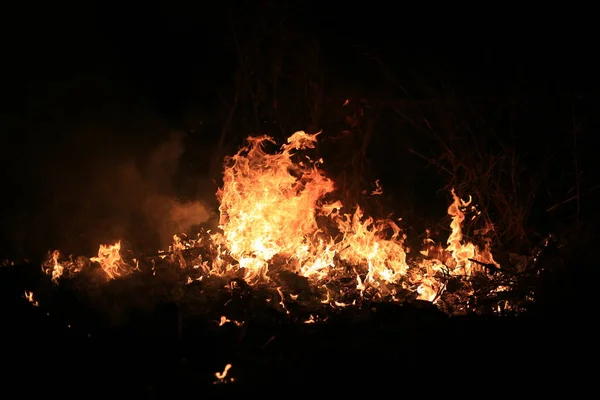 Огненное Пламя Горящее Сухой Травой Темном Фоне — стоковое фото