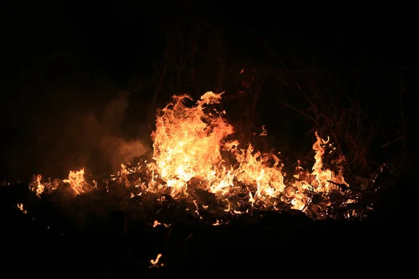 Chamas Fogo Queimando Grama Seca Fundo Escuro — Fotografia de Stock