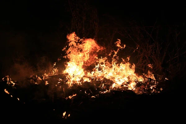 Огненное Пламя Горящее Сухой Травой Темном Фоне — стоковое фото