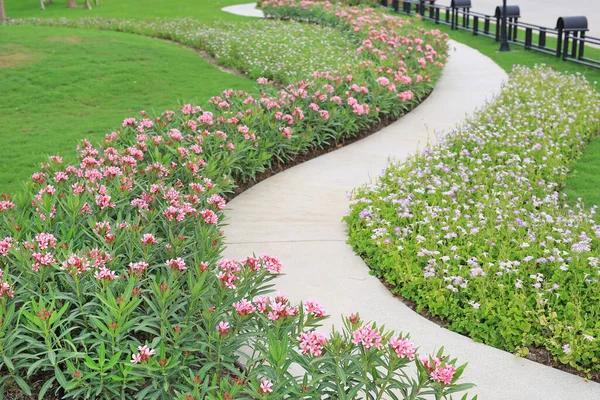 庭にはオレンダーローズベイとコロマンデルの花が咲くセメントの歩道 — ストック写真