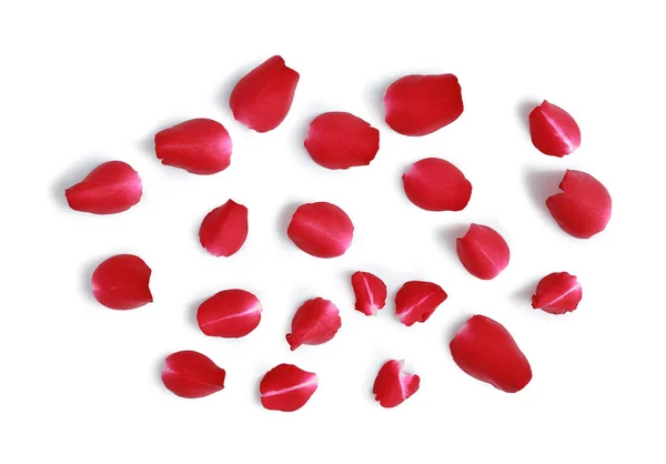Płatki Czerwonej Róży Odizolowane Białym Tle Ścieżka Wycinania — Zdjęcie stockowe
