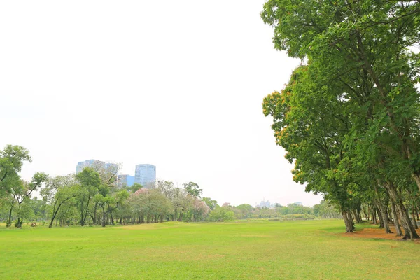 Zielony Park Przyrody Środku Miasta Miejskiego — Zdjęcie stockowe