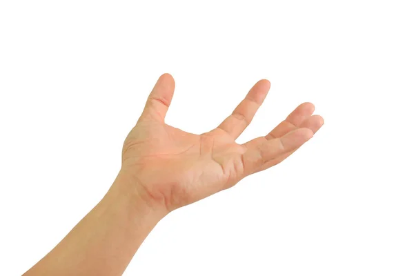 人们用张开的手掌举手表决或接受在白色背景下孤立的手势 持有或提供概念 带有裁剪路径的图像 — 图库照片