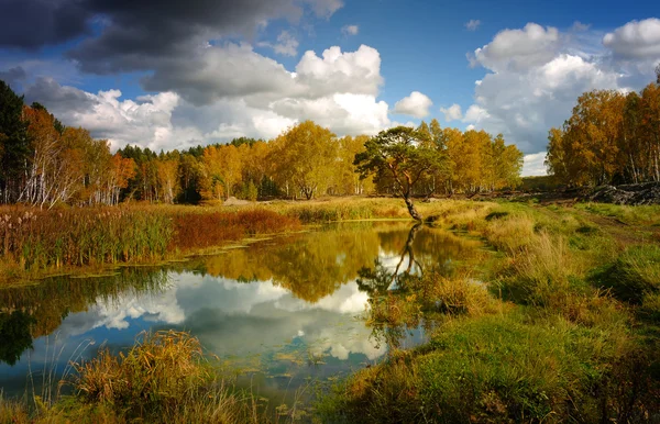 Paysage d'automne avec un lac et des arbres — Photo