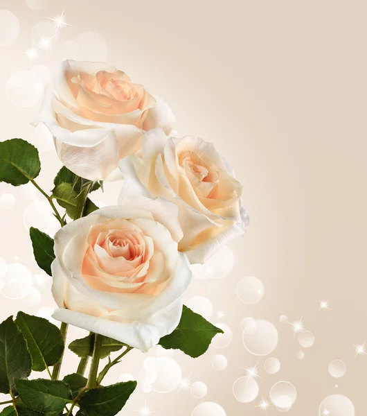 Λεπτή ανθοδέσμη με τριαντάφυλλα σε ανοιχτόχρωμη επιφάνεια — Φωτογραφία Αρχείου