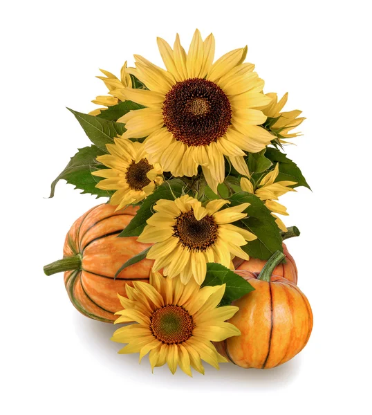 Pumpkins and sunflowers on a white background — Stock Photo, Image
