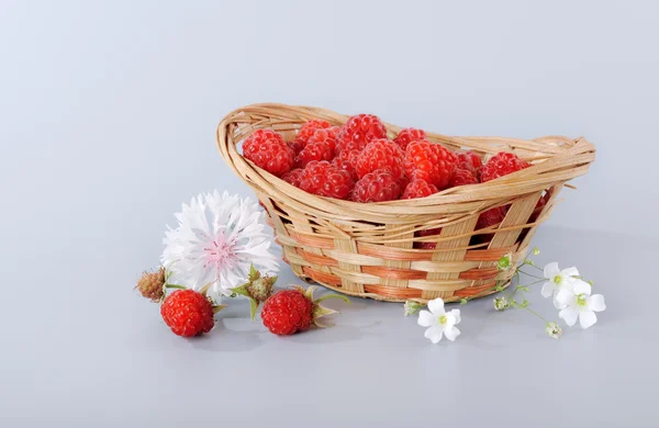 Ripe raspberries in a wicker basket and flowers — Stock Photo, Image