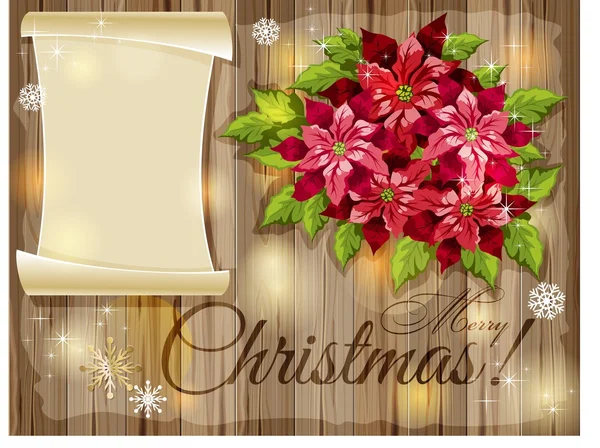 Christmas background with Poinsettia flowers — Stock Photo, Image