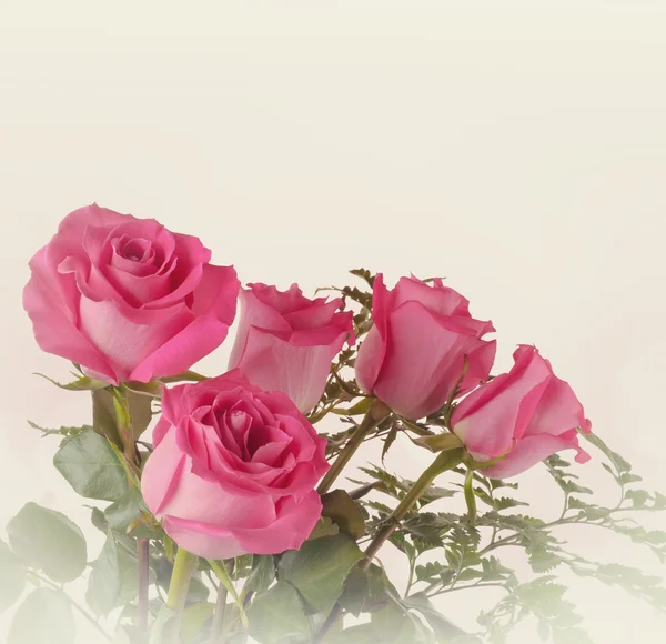 Beautiful roses in vintage style — Stock Photo, Image