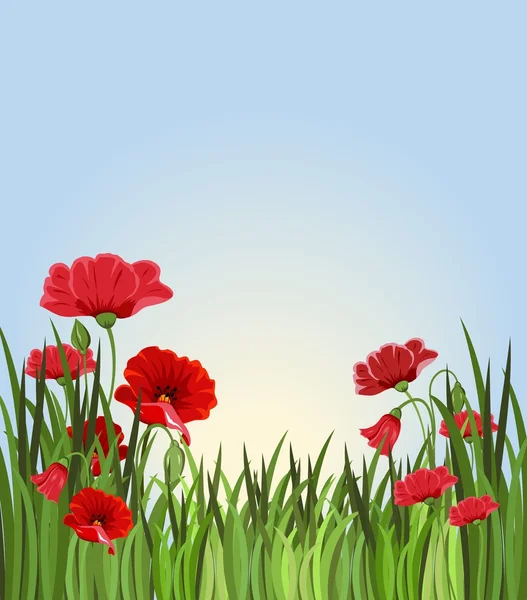 Summer background with grass and red flowers. Flower meadow against the sky — Stock Photo, Image