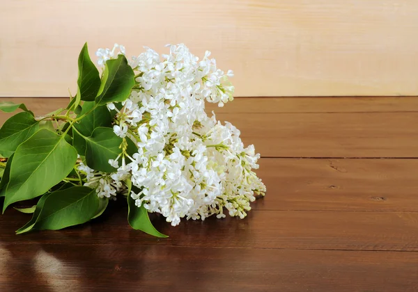 Weißer Flieder auf einem hölzernen Hintergrund — Stockfoto