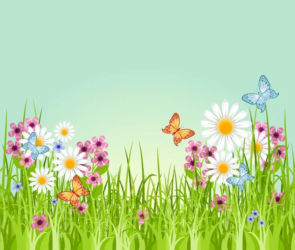 Hermoso fondo de verano con hierba verde y flores de prado — Vector de stock