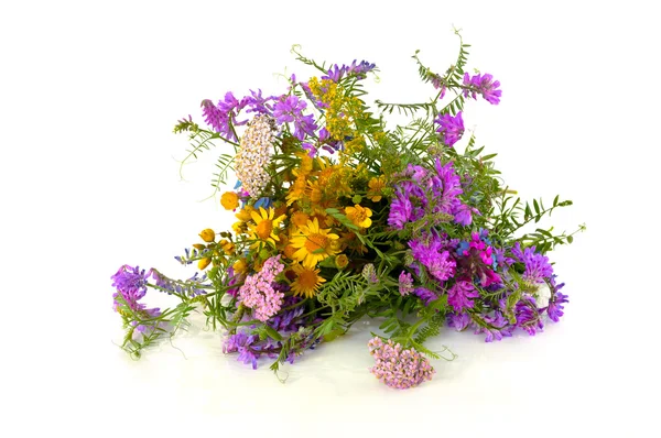 Beautiful bouquet of wild forest flowers on a white background — Stok fotoğraf