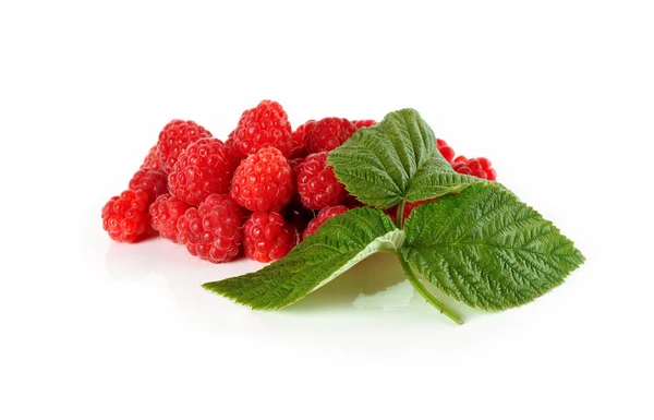 Raspberry close up on a white background — Stock Photo, Image