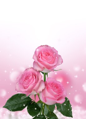 beautiful background with flowers roses clipart