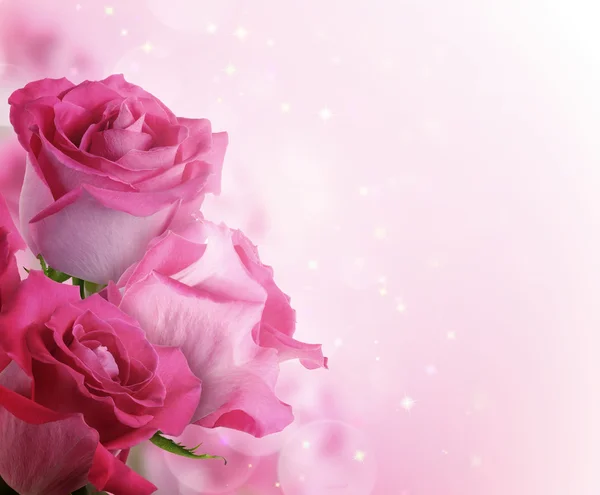 Schöner Hintergrund mit Blumen Rosen — Stockfoto