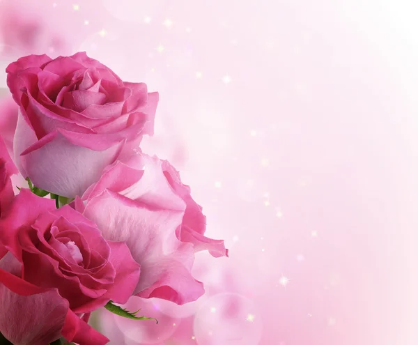 Bellissimo sfondo con fiori rose — Foto Stock