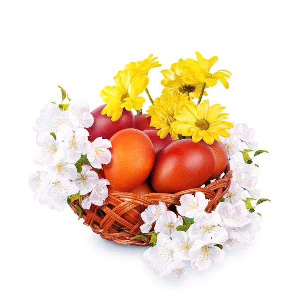 Painted eggs surrounded by flowers — Stock Photo, Image