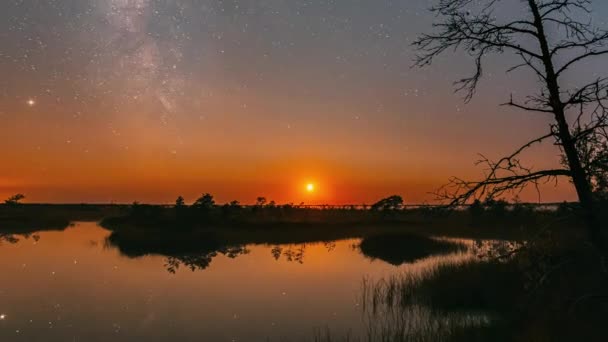 Paisaje de la naturaleza del pantano 4K. Noche Cielo estrellado Vía Láctea Galaxia con estrellas brillantes y la luna. Time Lapse Time-Lapse Nature Marsh Hyperlapse. Reflexión del cielo nocturno en el agua — Vídeos de Stock