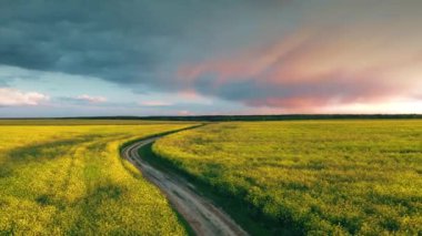 Uçuşlar bahar mevsiminin en iyi görüntüsünü yükseltti. Çiçek açan ırz tohumu, tarlada yağ tohumu. Kanola Sarı Çiçekleri 'nin Çiçeği. Gün batımında Güzel Taşra Yolu