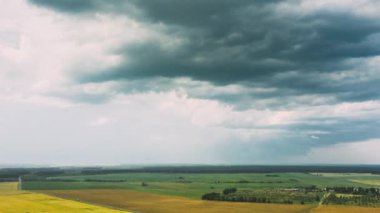 İnsansız hava aracı, yaz mevsiminde genç buğday tarlasıyla tarımsal manzaraya doğru hızlandırılmış hava görüntüsü veriyor. Güzel kırsal alan. Tarım Alanı Tarım