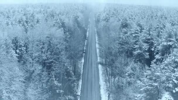 Дорога 4К через белоснежный лес В зимний морозный день. Полет над удивительным сосновым лесом. Пейзаж. Сценический вид на Парк Вудс. Природа сломала представление о зимнем лесе. Снежный — стоковое видео