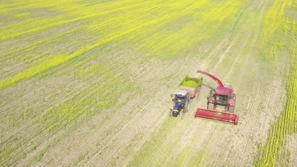 4K Aerial Elevated View Of Combine Harvester And Tractor Working Together In Field. Harvesting Of Oilseed In Spring Season. Agricultural Machines Collecting Rapeseeds Canola Colza Rural Landscape — Stock Video