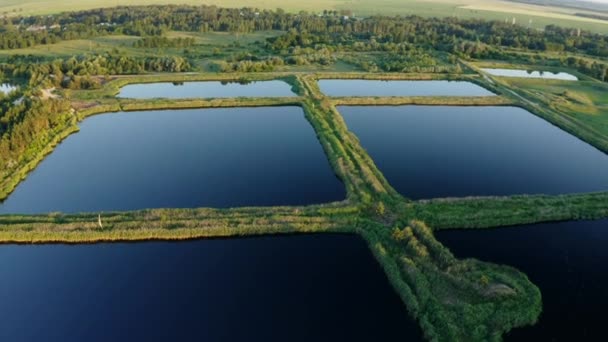 Aerial View Retention Basins, Wet Pond, Wet Contention Basin ή Stormwater Management Pond, είναι μια τεχνητή λίμνη με βλάστηση γύρω από την περιοχή, και περιλαμβάνει μια μόνιμη λίμνη του νερού στην — Αρχείο Βίντεο